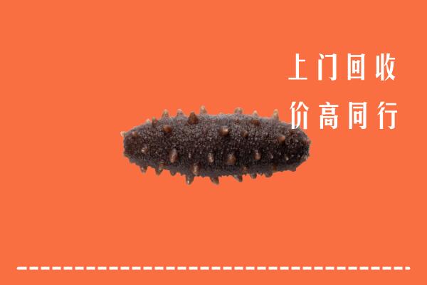 舞阳县回收海参