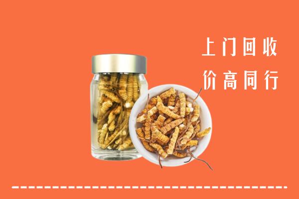 舞阳县回收冬虫夏草